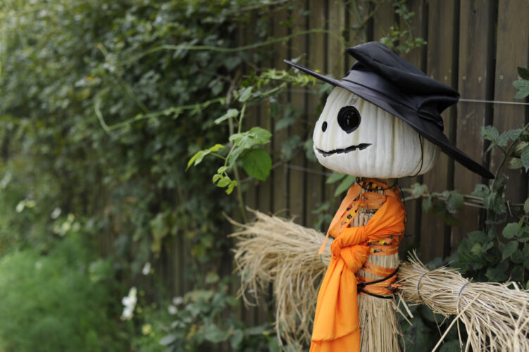 Halloween Lore and Spooky Superstitions